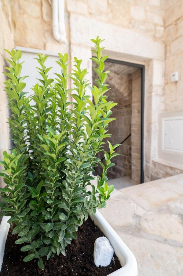 Piccola Pietra Bianca Hotell Giovinazzo Eksteriør bilde